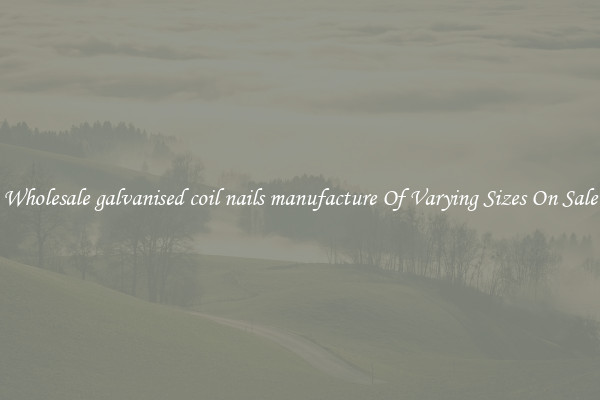 Wholesale galvanised coil nails manufacture Of Varying Sizes On Sale