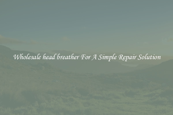 Wholesale head breather For A Simple Repair Solution