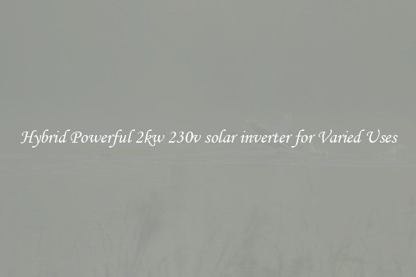 Hybrid Powerful 2kw 230v solar inverter for Varied Uses