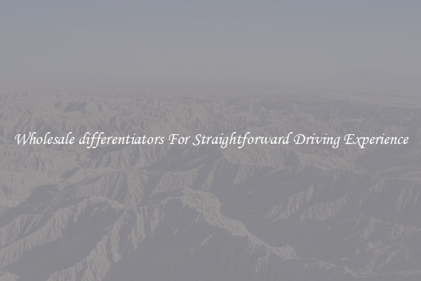 Wholesale differentiators For Straightforward Driving Experience