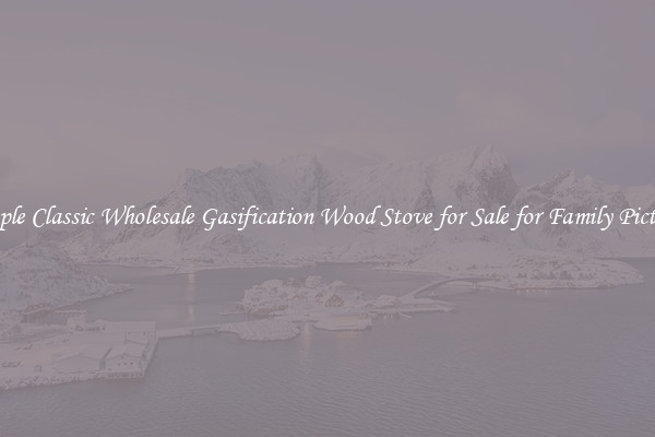 Simple Classic Wholesale Gasification Wood Stove for Sale for Family Pictures