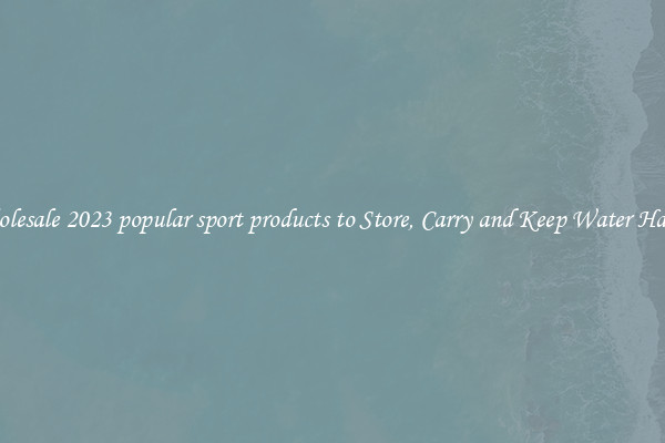 Wholesale 2023 popular sport products to Store, Carry and Keep Water Handy