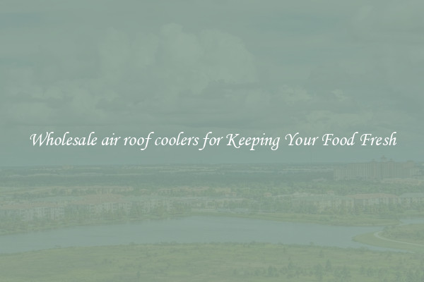 Wholesale air roof coolers for Keeping Your Food Fresh