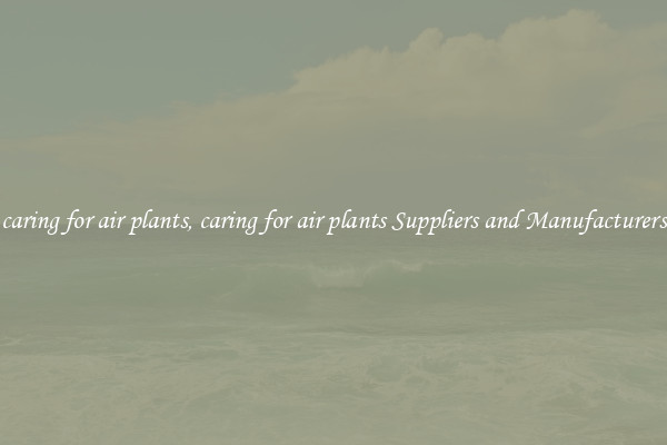 caring for air plants, caring for air plants Suppliers and Manufacturers
