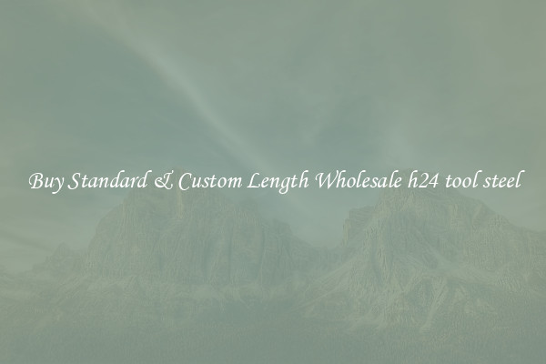 Buy Standard & Custom Length Wholesale h24 tool steel