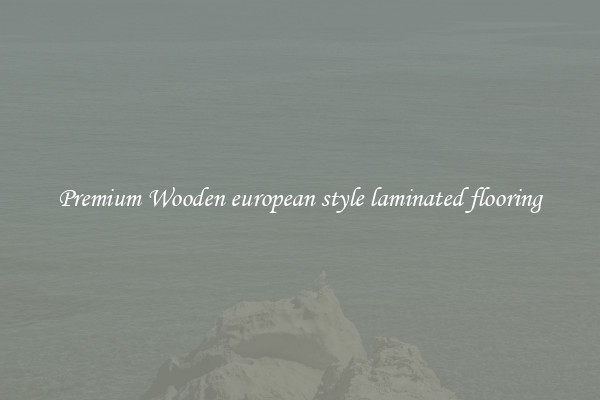 Premium Wooden european style laminated flooring
