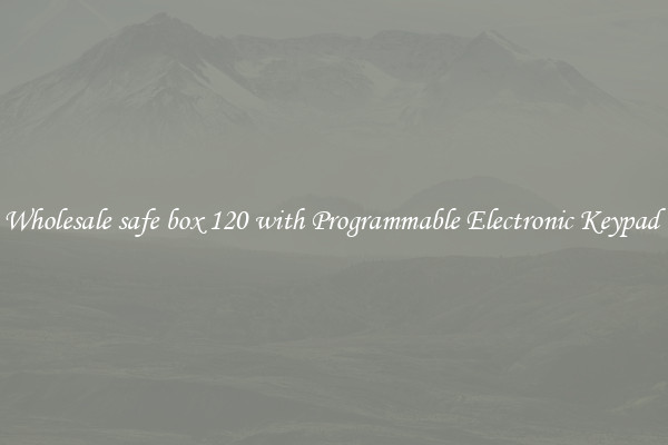Wholesale safe box 120 with Programmable Electronic Keypad 