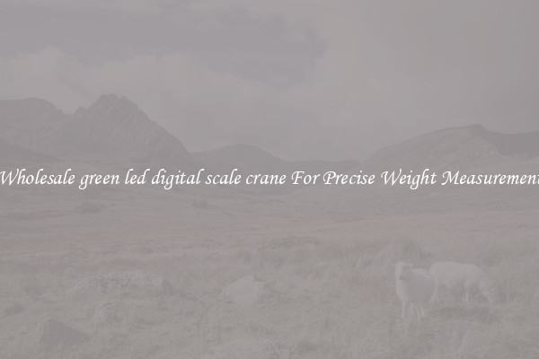 Wholesale green led digital scale crane For Precise Weight Measurement