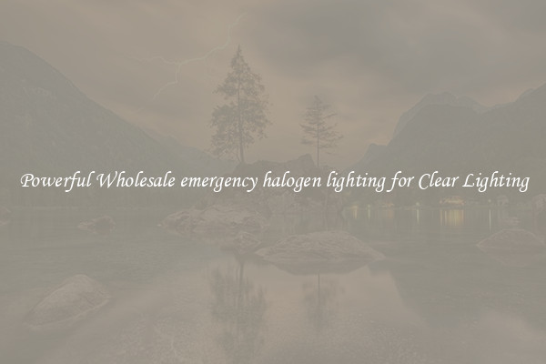 Powerful Wholesale emergency halogen lighting for Clear Lighting
