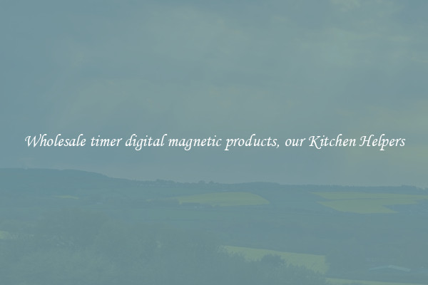 Wholesale timer digital magnetic products, our Kitchen Helpers