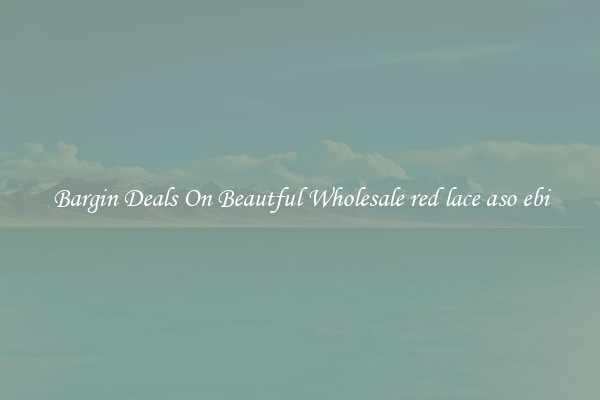 Bargin Deals On Beautful Wholesale red lace aso ebi