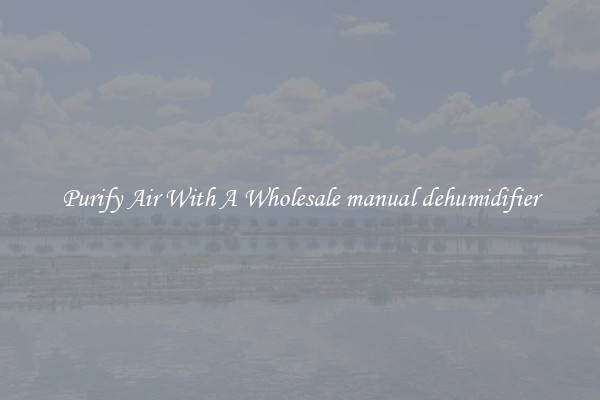 Purify Air With A Wholesale manual dehumidifier