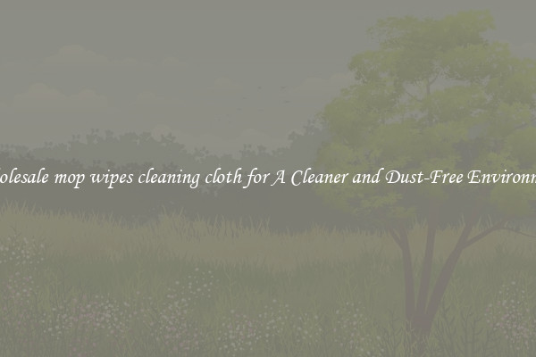 Wholesale mop wipes cleaning cloth for A Cleaner and Dust-Free Environment