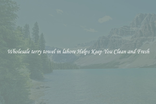 Wholesale terry towel in lahore Helps Keep You Clean and Fresh