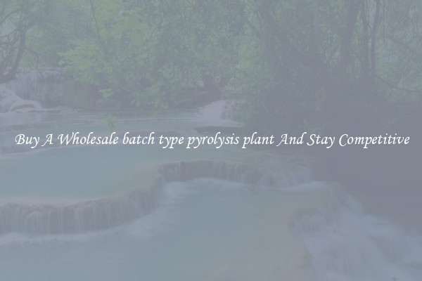 Buy A Wholesale batch type pyrolysis plant And Stay Competitive