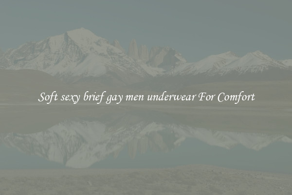 Soft sexy brief gay men underwear For Comfort