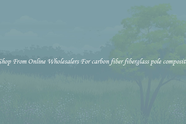 Shop From Online Wholesalers For carbon fiber fiberglass pole composite