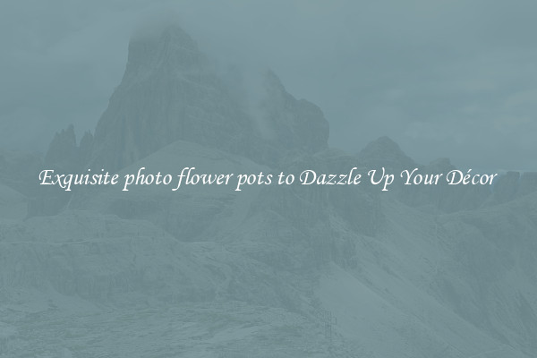 Exquisite photo flower pots to Dazzle Up Your Décor 