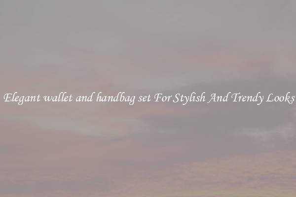 Elegant wallet and handbag set For Stylish And Trendy Looks