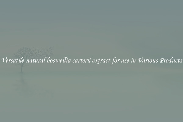 Versatile natural boswellia carterii extract for use in Various Products