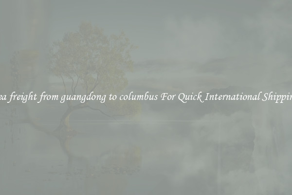 sea freight from guangdong to columbus For Quick International Shipping