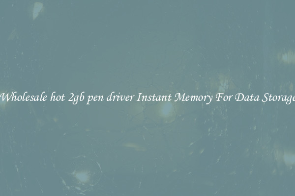 Wholesale hot 2gb pen driver Instant Memory For Data Storage